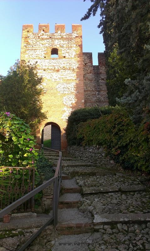 ein steiniger Weg