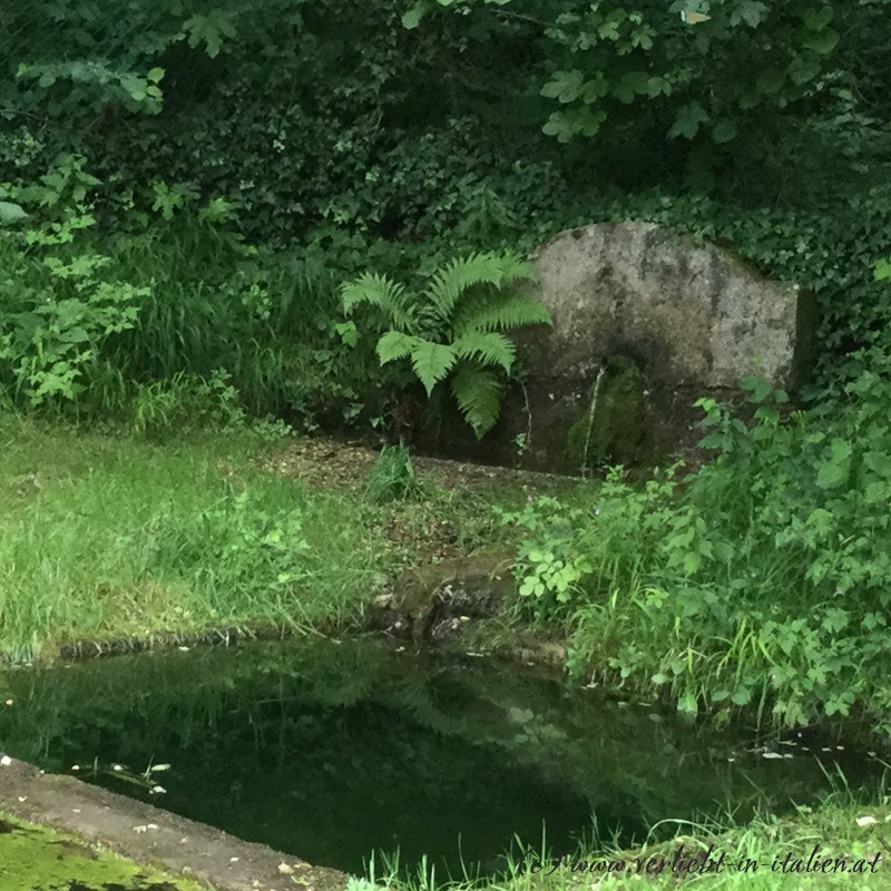 Wasserbecken bei der Einfahrt