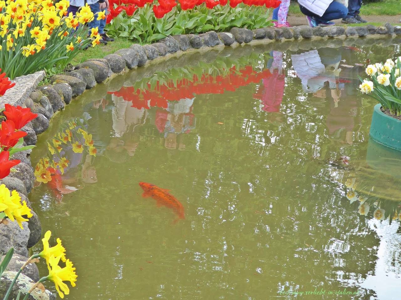Fische