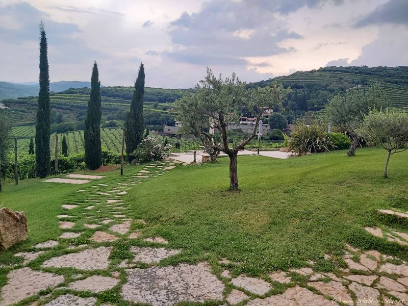 Azienda Agrituristica Corte Tamellini