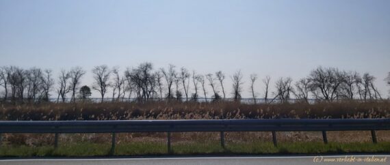 Mestre eine moderne Stadt mit historischem Charme Verliebt in Italien