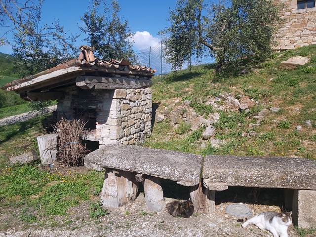 Backofen bei Olivenbäumen