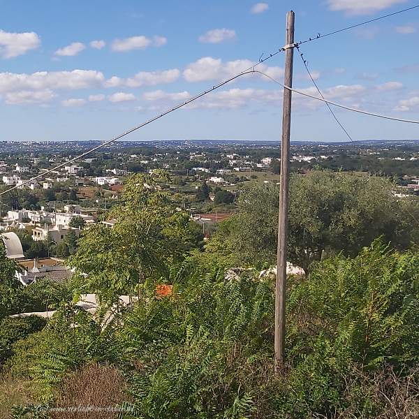 Blick ins Land aus Cisternino