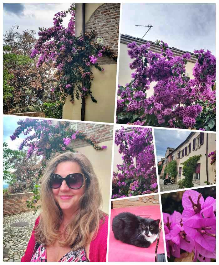 Collage in Pink