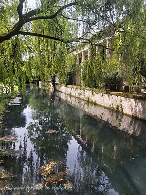 Giardini Salvi