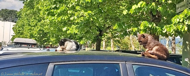 Entspannen am Parkplatz Todi