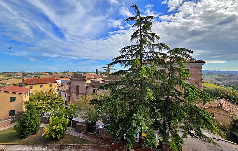 Blick in die Hügel bei Morro dAlba
