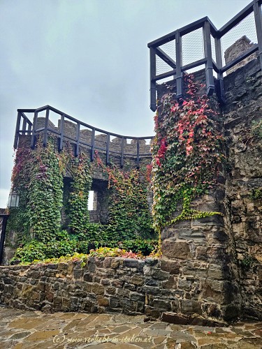 Hoch hinauf Burg Gorizia