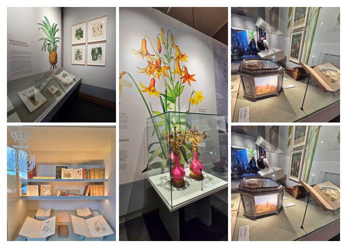 Ausstellungszimmer Collage Miramare