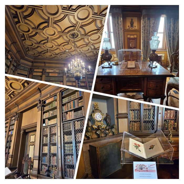 Collage Bibliothek Miramare