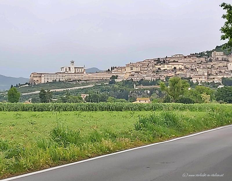 Basilica di S. Francesco Assisi