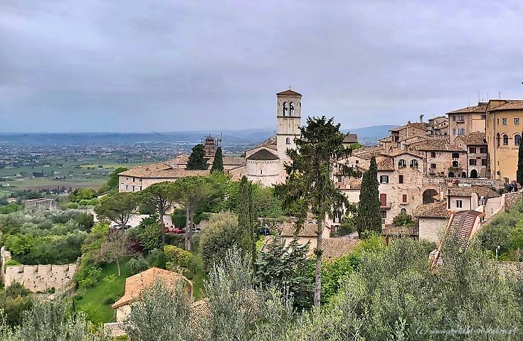 Blick auf Assisi