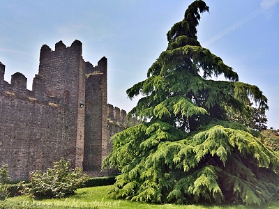 Castello Carrarese von Este
