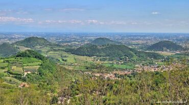 Colli Euganei