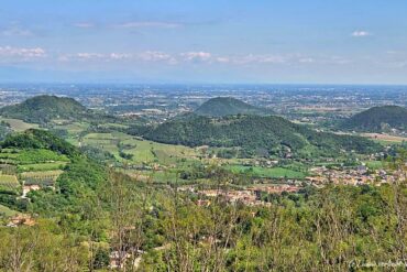 Colli Euganei