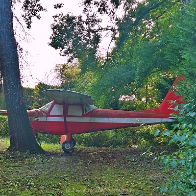 Flugzeug im Garten vom Castello di San Pelagio
