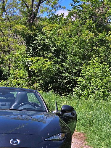 MX5 bei Abano