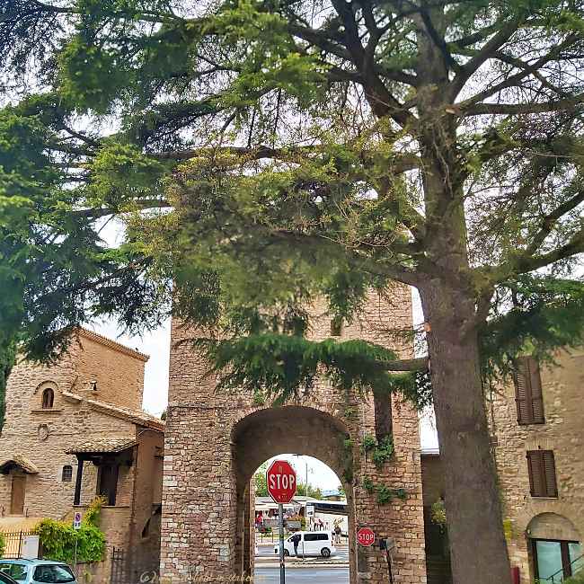 Porta San Pietro Assisi