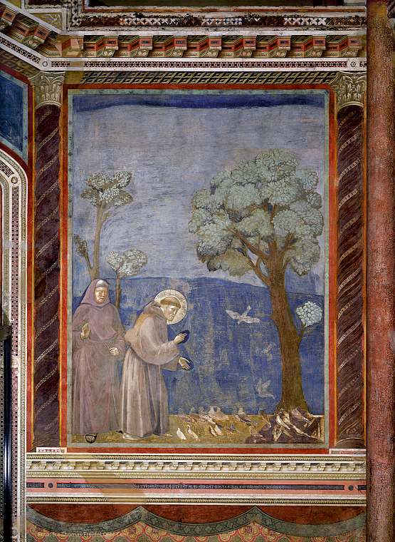 Vogelpredigt von Giotto